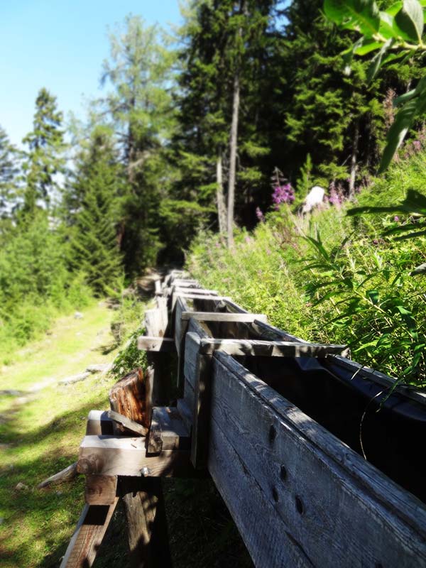 Haute-Nendaz activités été